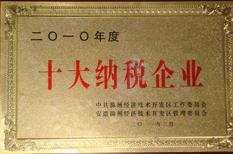 十(shí)大納稅(shui)企業