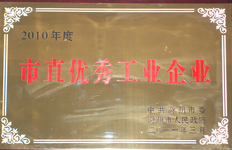 市(shi)直優秀(xiu)工業企(qǐ)業